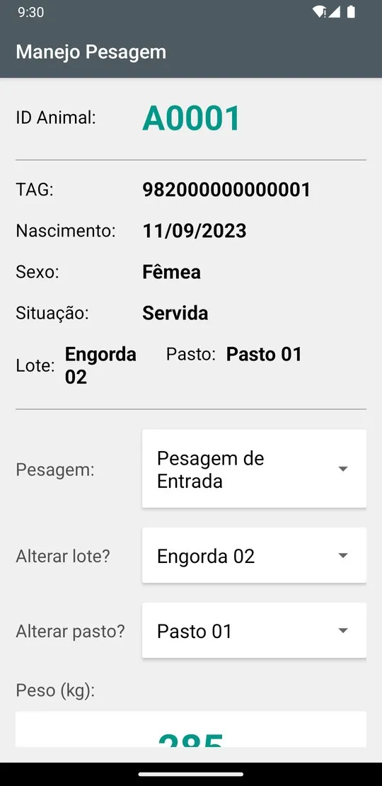 Pesagem com animal identificado: tag, lote, pasto e peso