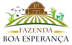 logoboaesperancavine